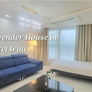 Haeundae Lavender House-irua Busan